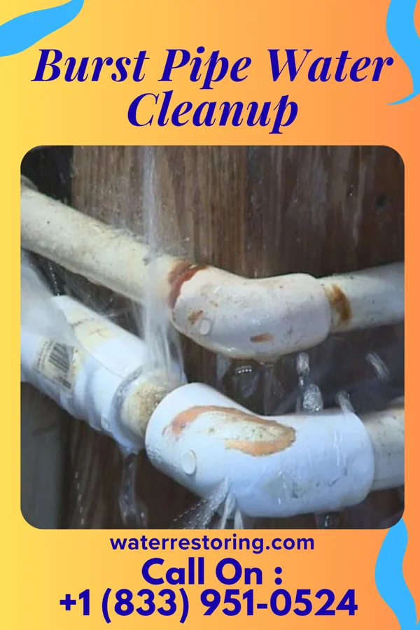 Burst Pipe Water Cleanup in Center Point, IA