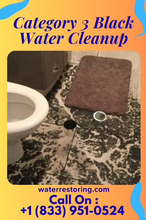 Category 3 Black Water Cleanup in Center Point, IA